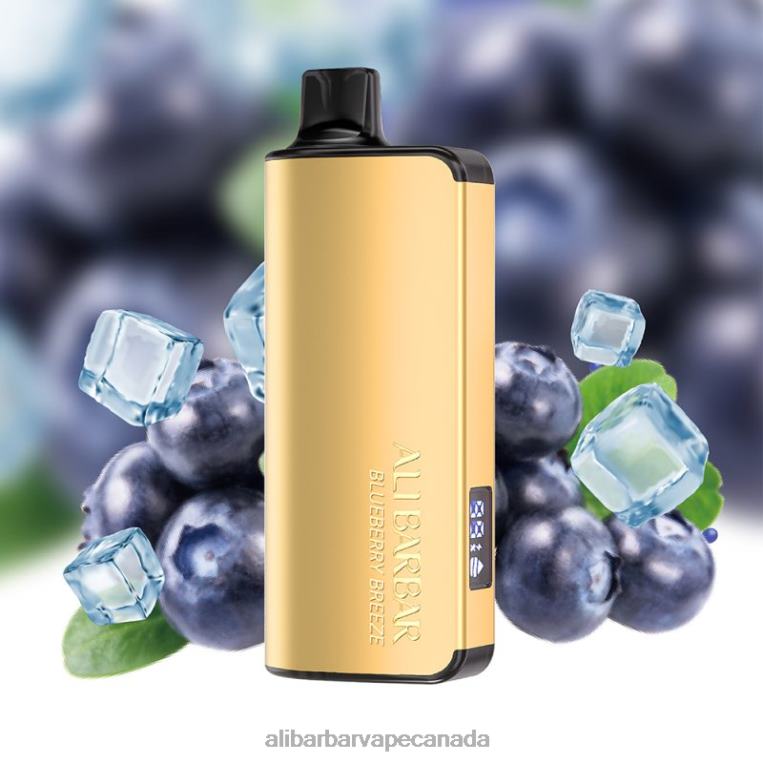 Alibarbar Ingot 20000 Disposable Vape Blueberry Breeze JV2DX32 - Alibarbar Vape Flavours