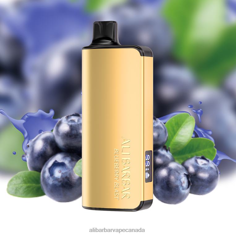 Alibarbar Ingot 9000 Disposable Vape Blueberry Blast JV2DX15 - Alibarbar Vape Review