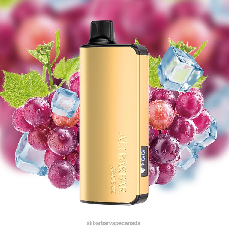 Alibarbar Ingot 9000 Disposable Vape Grape Ice JV2DX20 - Alibarbar Vape Flavours