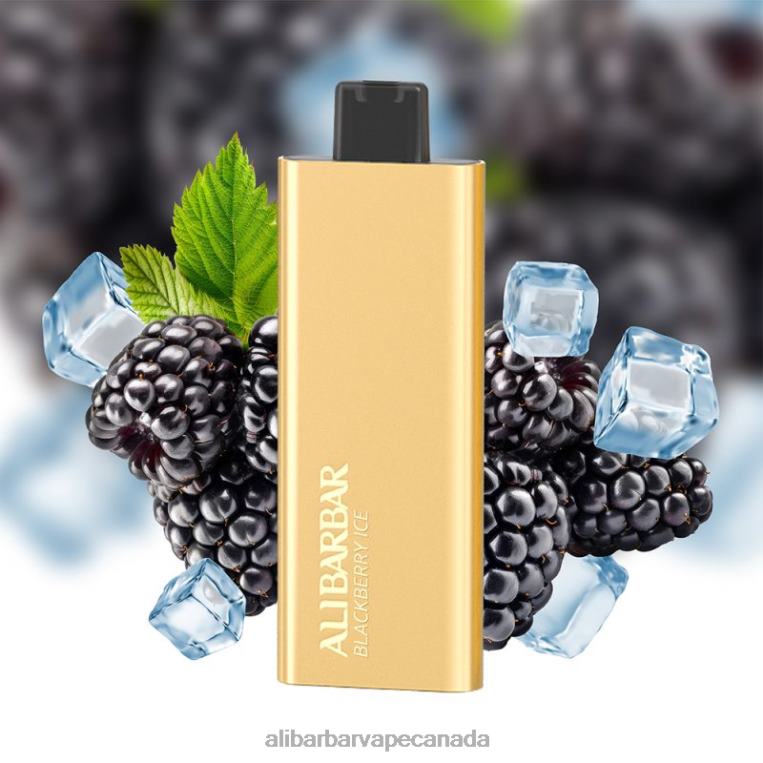 Alibarbar Pandora 7000 Disposable Vape Blackberry Ice JV2DX68 - Alibarbar Vape Flavours