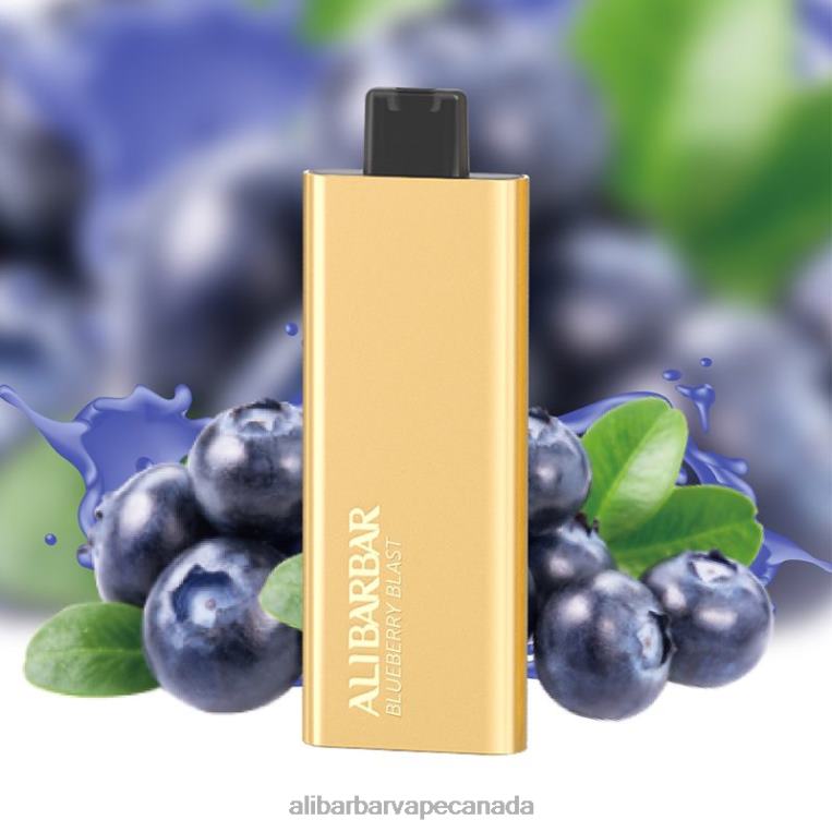 Alibarbar Pandora 7000 Disposable Vape Blueberry Blast JV2DX50 - Alibarbar Vape Flavours
