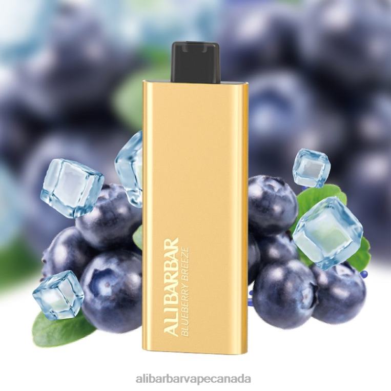 Alibarbar Pandora 7000 Disposable Vape Blueberry Breeze JV2DX51 - Alibarbar Vape Review