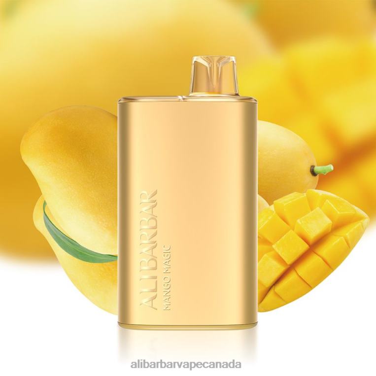 Alibarbar Rich 8000 Disposable Vape Mango Magic JV2DX7 - Alibarbar Flavours