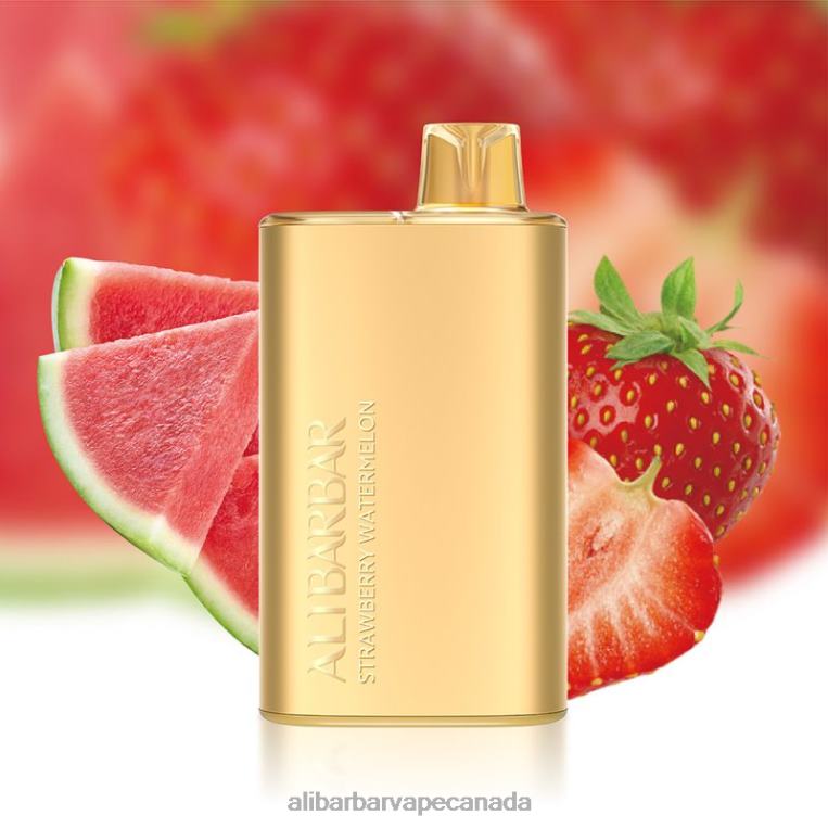 Alibarbar Rich 8000 Disposable Vape Strawberry Watermelon JV2DX13 - Alibarbar Flavours