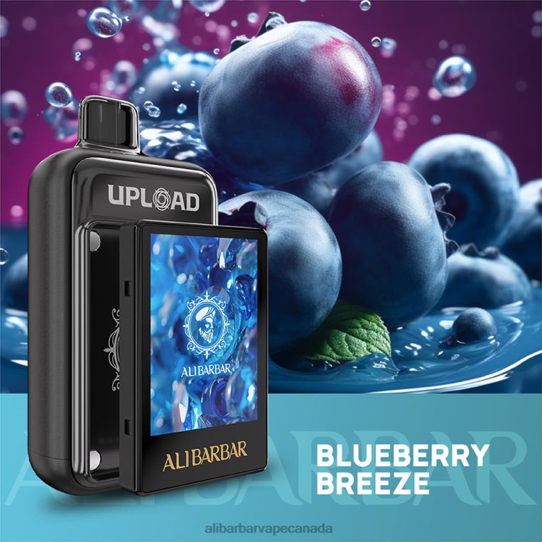 Alibarbar Upload Blueberry breeze JV2DX113 - Alibarbar Vape Canada