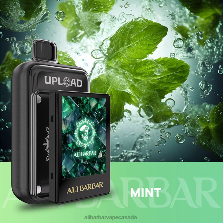 Alibarbar Upload Mint JV2DX117 - Alibarbar Vape Review